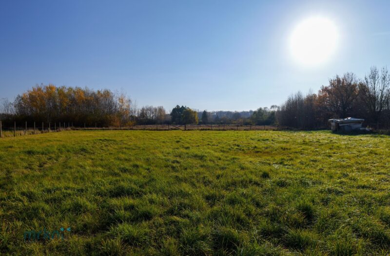 Feng shui na Slovácku – pozemek připravený ke stavbě